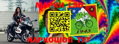 шишки Дубна