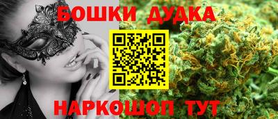 шишки Дубна