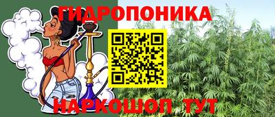шишки Дубна
