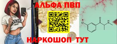 шишки Дубна