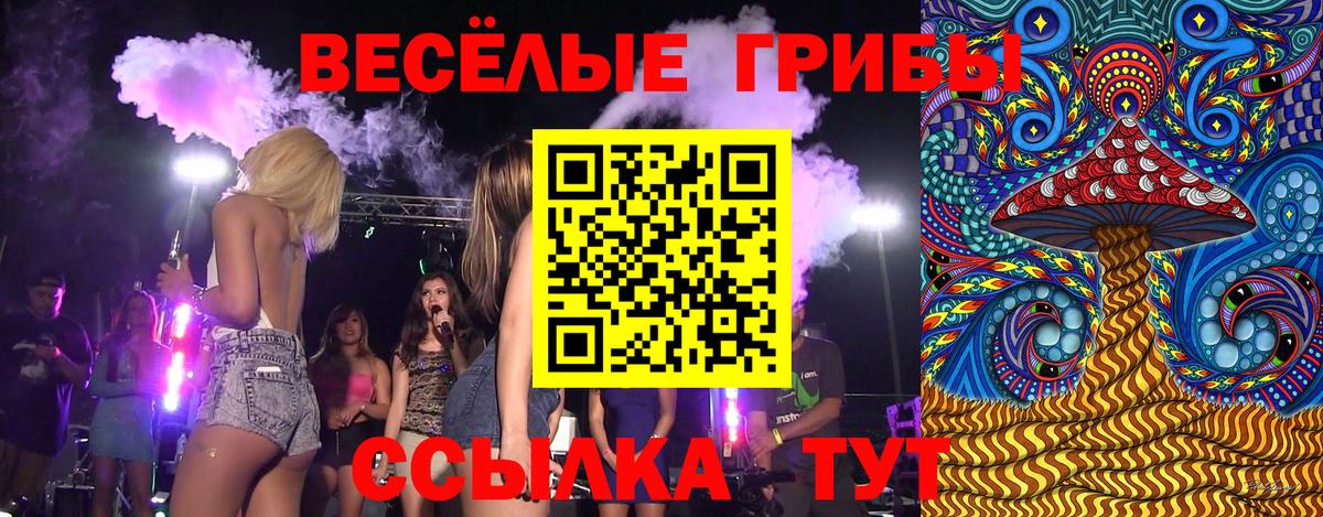 Мирный  Галлюциногенные грибы MAGIC MUSHROOMS  Вход с VPN  Галлюциногенные грибы MAGIC MUSHROOMS 